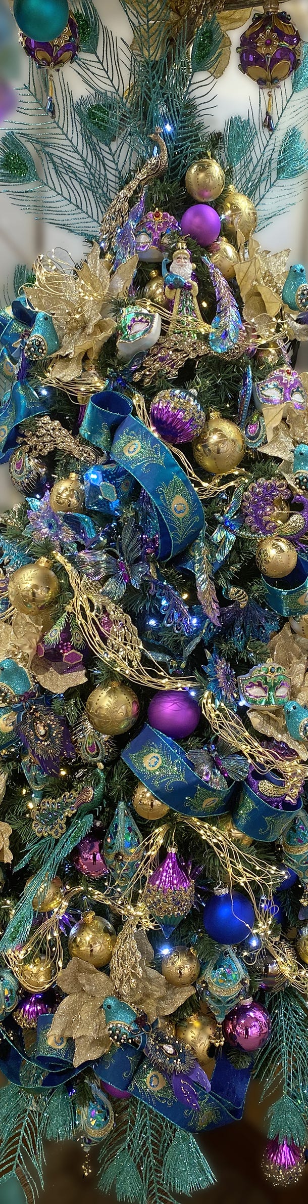 Category Banner Image