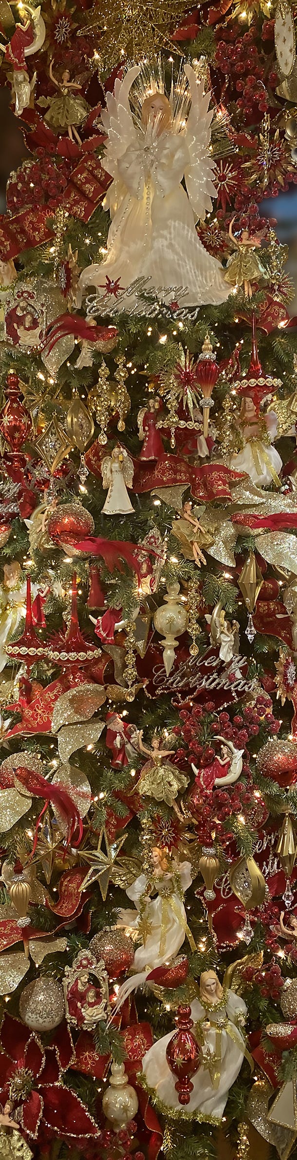 Category Banner Image