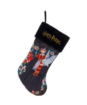 Harry Potter™ With Hedwig Stocking