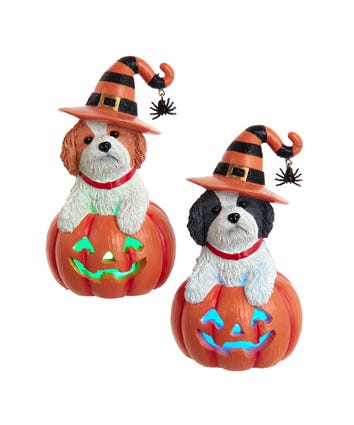 Battery Operated Shih-Tzu On Pumpkin Table Piece