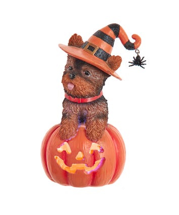 Battery Operated Yorkshire Terrier On Pumpkin Table Piece