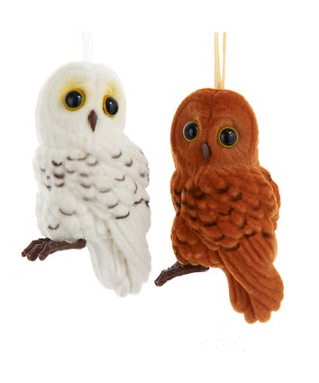 Flocked Owl With Loop Ornaments, 2 Assorted