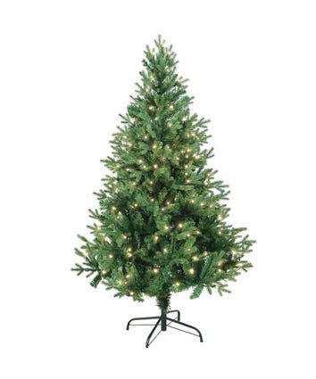 5' Pre-Lit Warm White LED Jackson Pine Tree