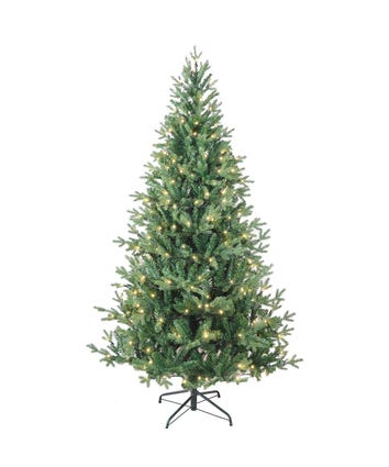 6' Pre-Lit Warm White LED Jackson Pine Tree