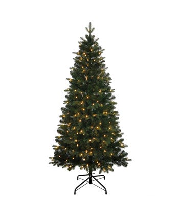 6' Pre-Lit Warm White LED Studio Spruce Tree